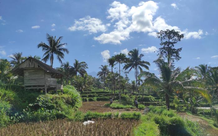 Pondok Tio