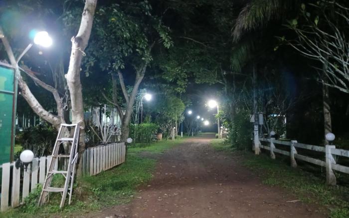 Palmhill homestay & cafe