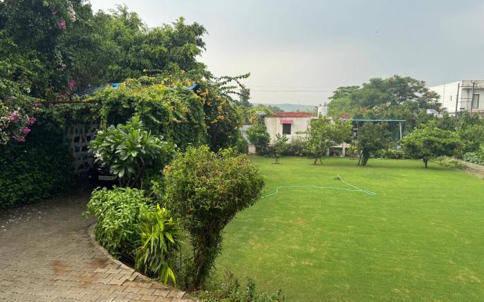 The Peacock Nest
