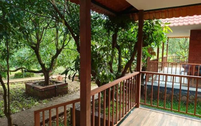 Desai's Mango Retreat