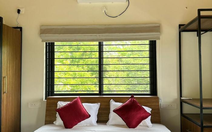 Macadamia (G) by Kilukka Farms