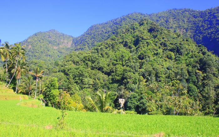 Ananda Homestay