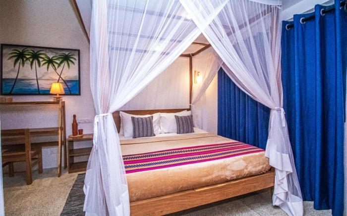 Calathea inn Unawatuna. 