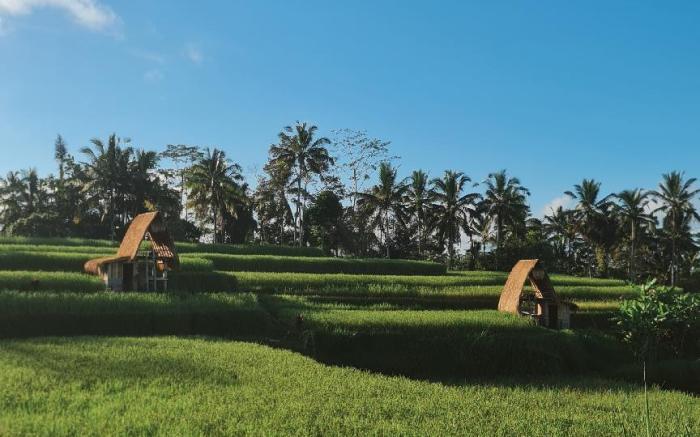 swaha retreat ubud