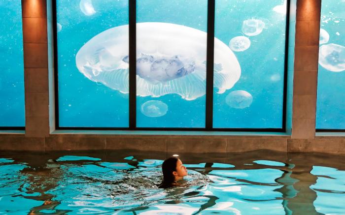 Lincombe Hall Hotel & Spa - Just for Adults