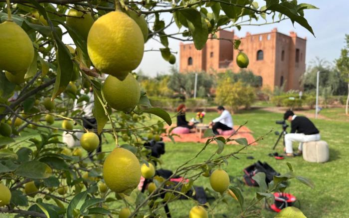 Ferme Sidi Safou & Spa