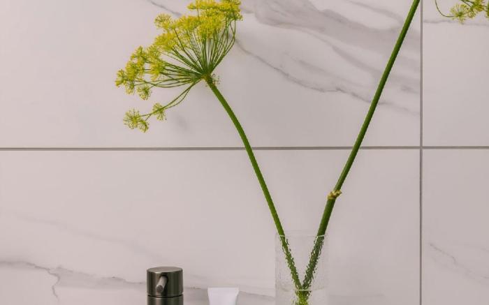 Rose, Sonder Hotel by Marriott Bonvoy