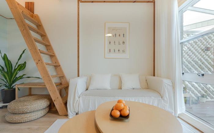 제주 브로콜리 민박