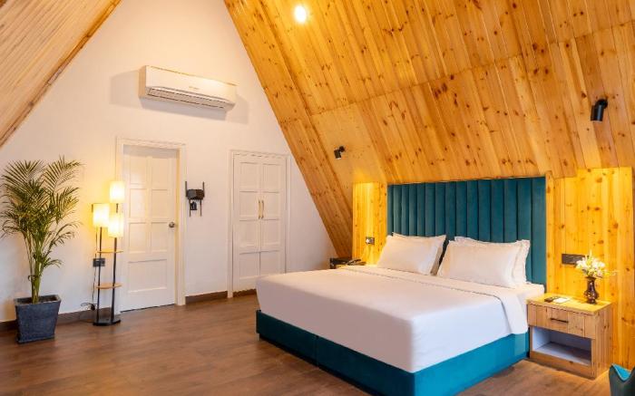 Patio Farms by Saltstayz