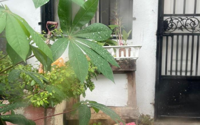 FEEL U GUEST HOUSE