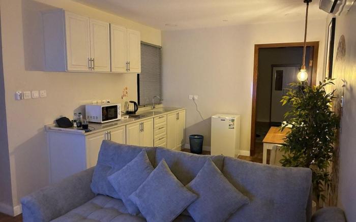 Modern apartment with a different style v70