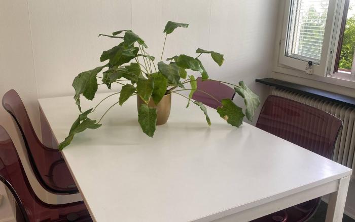 Liseberg-Near Apt City Centre  WOW Fest