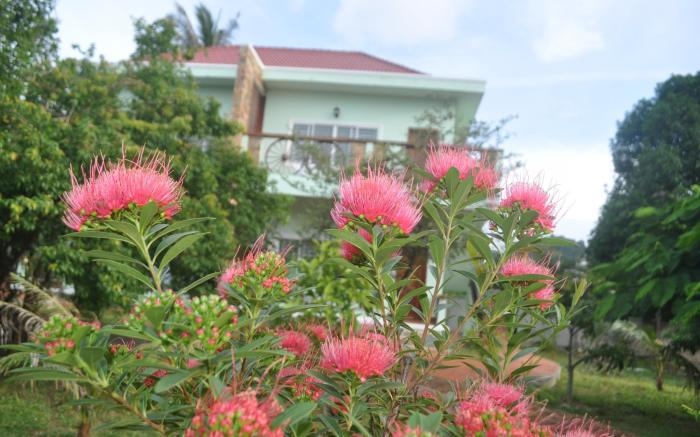 Kep Bungalows