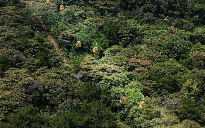 Borman Hotel Qingyuan City Government Shunying Times Square