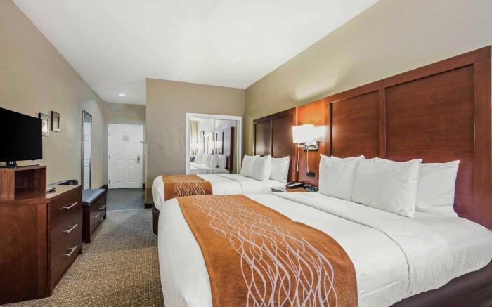 Comfort Inn Memphis Downtown
