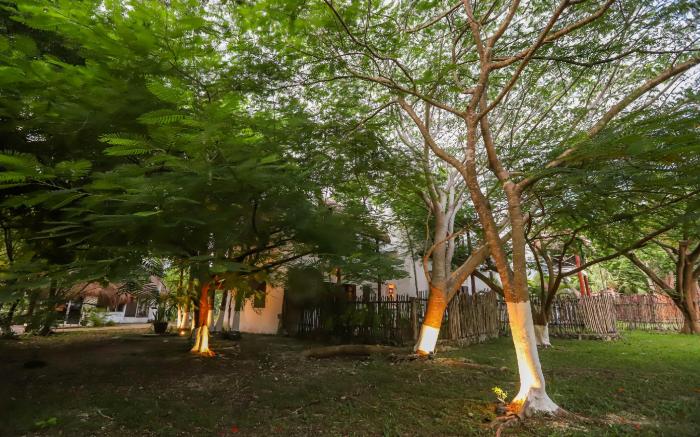 Mayan Secret Hotel Boutique