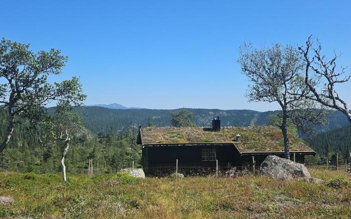 Magic View | Unspoiled nature | Summer pasture