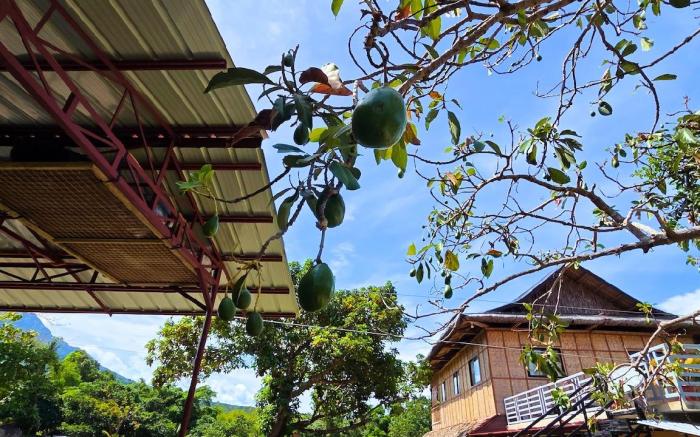 NoMa Mountain Getaway - Room Occupy