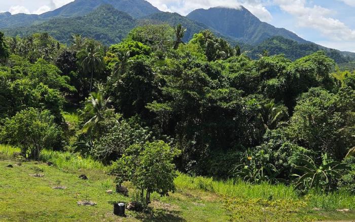 NoMa Mountain Getaway - Room Occupy