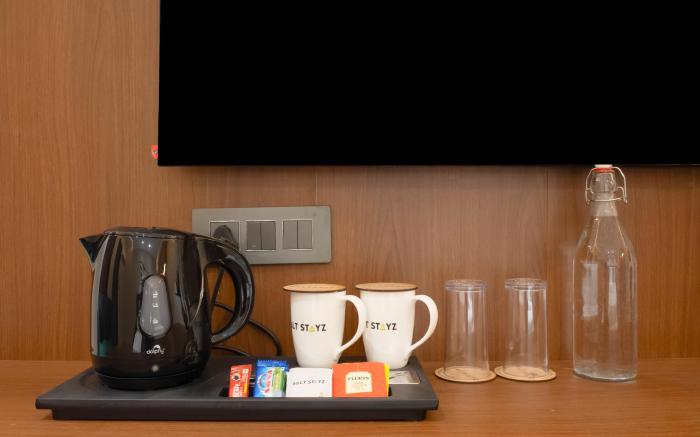 Saltstayz Premier - Naraina, Central Delhi