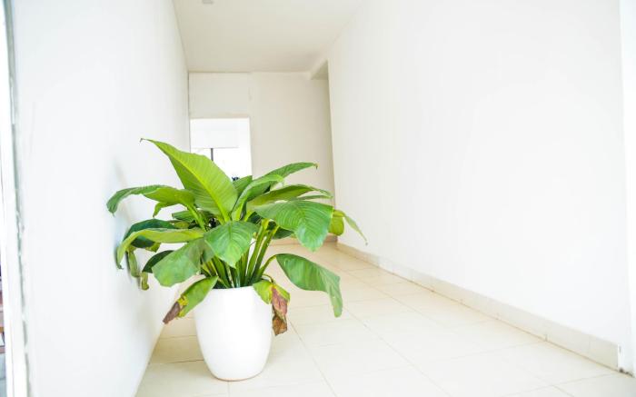 Vang Vieng Golden Lotus Hotel