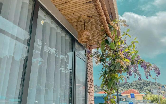 TÔ NHIÊN HOMESTAY CÁT BÀ