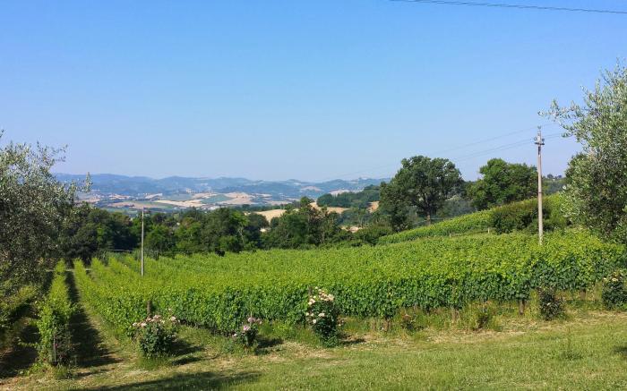 AGRITURISMO I CERRI