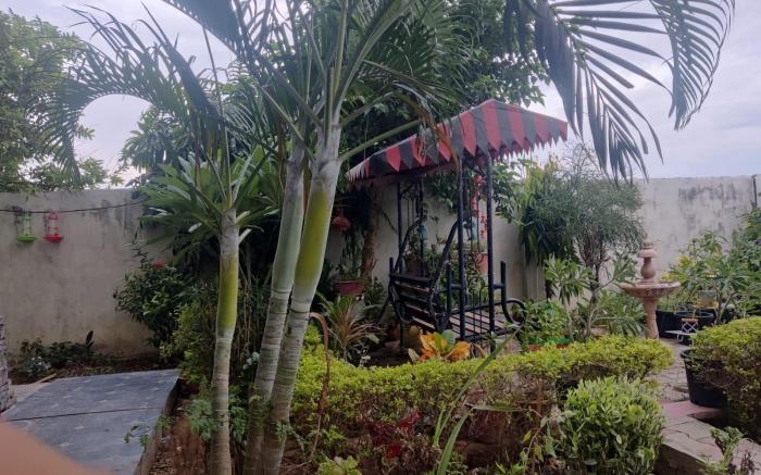 Green Meadows Homestay