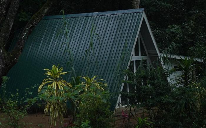 Tree Nature Resort (Sisila Ima)