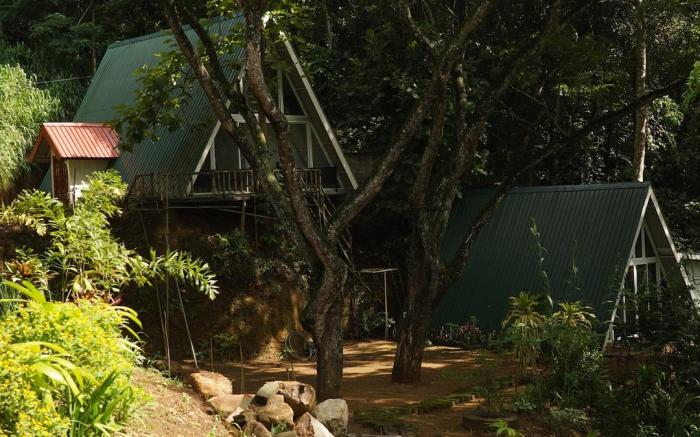 Tree Nature Resort (Samanthanna)