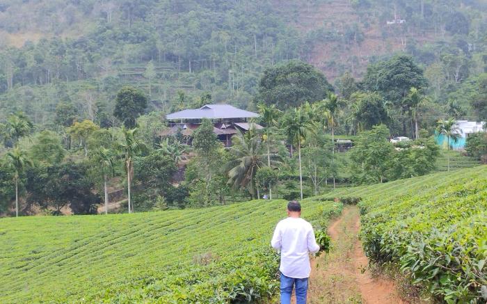 Sylora Meadows Pool Villa