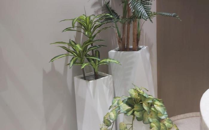 Neon - Royal Nest Aerotel 