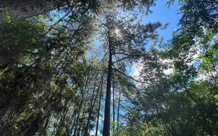 LakeSide Resort Jingdezhen