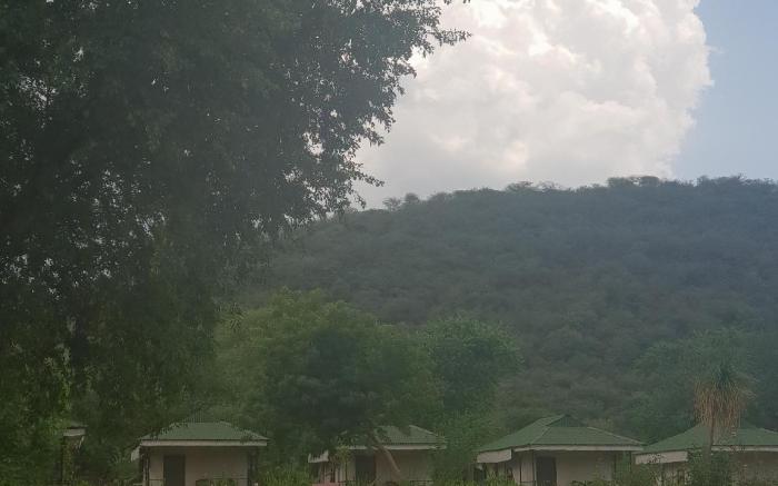 Sariska Tiger Heaven