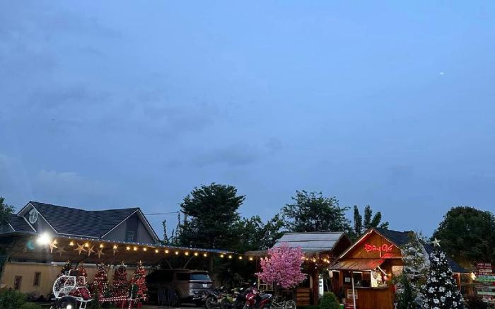 Cafe cắm trại Đồng Gió Phước Hải