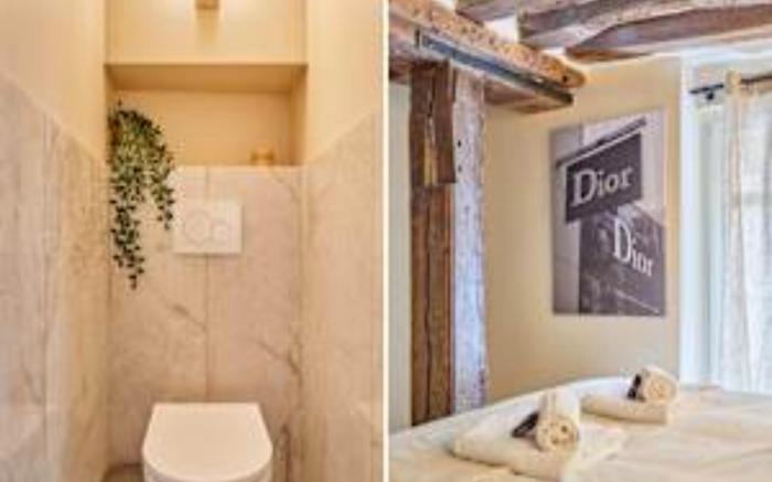 Charming renovated apartment in Center of Paris