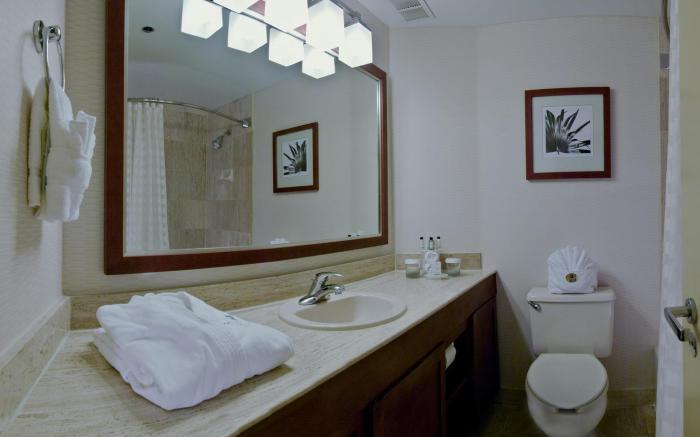Embassy Suites San Antonio International Airport Hotel