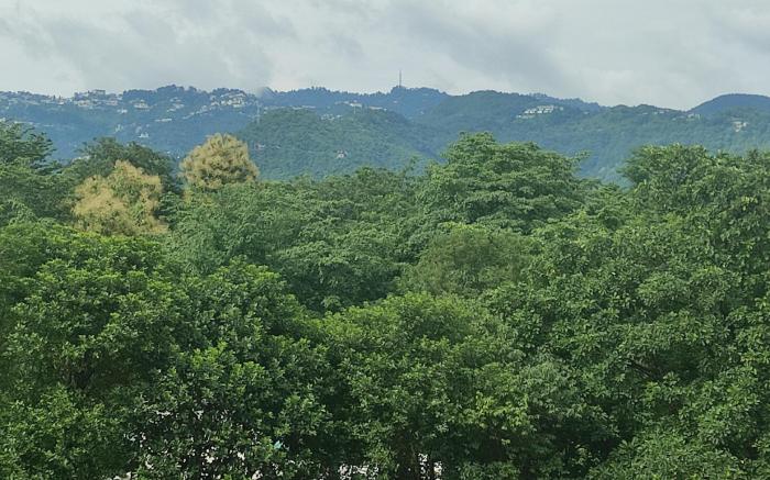 Enchanting Mountain Stay