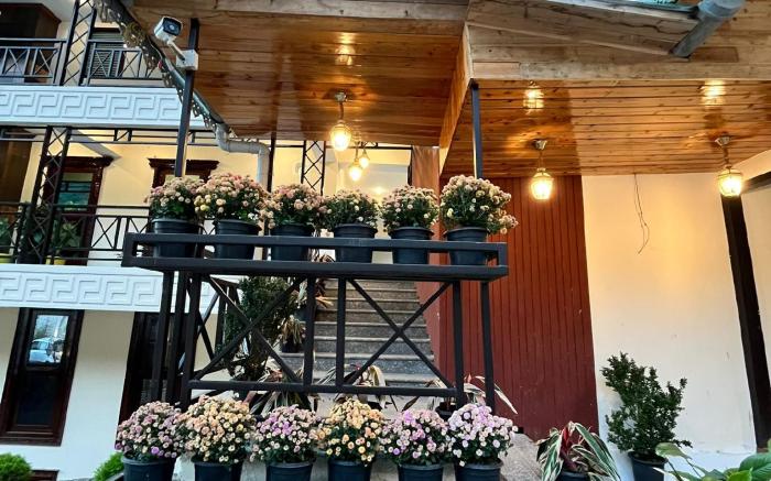 Cilantro Unwind Delisso Abode ,Pelling