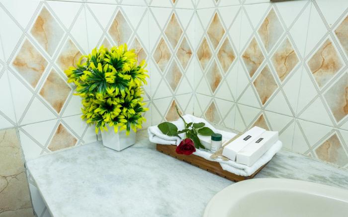 Cozy House Jaipur - A Homestay