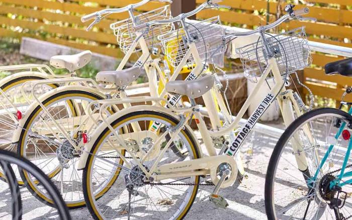 河口湖でアウトドアを楽しむコテージCottage Harvest tree