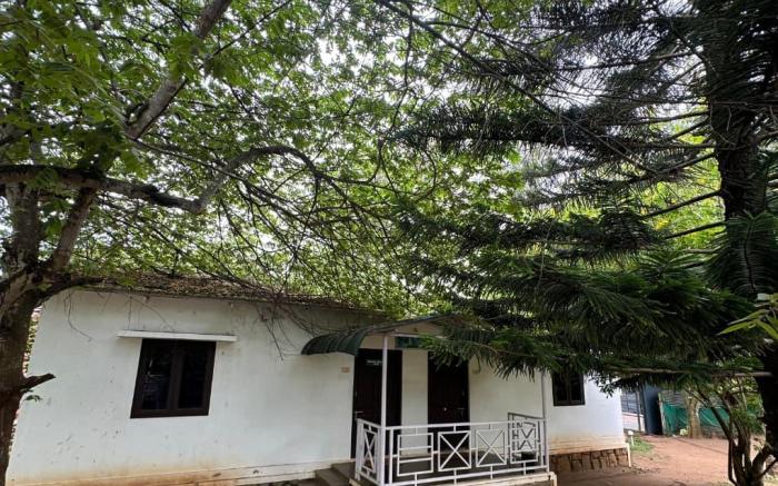 The Big Cat's Den - Maravakandy Resort Masinagudi