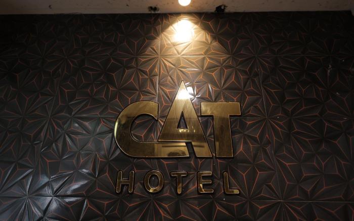 Hotel Cat