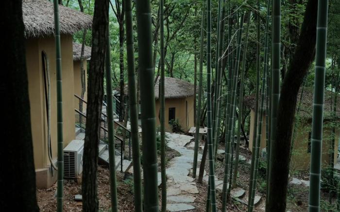 Qingcheng Mountain Jiuxipo Mountain Stream Bamboo Forest Private Hot Spring B&B