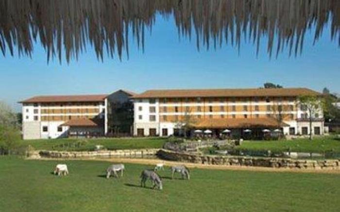 Chessington Hotel