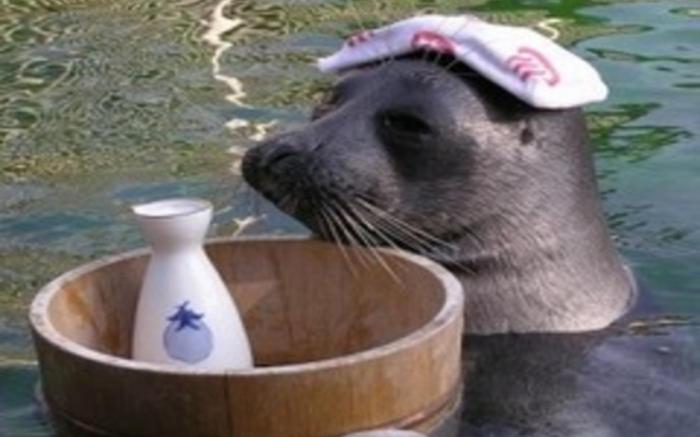 Gora Hotel Paipuno Kemuri Plus