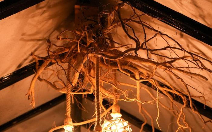 Aashraya Bed and Breakfast