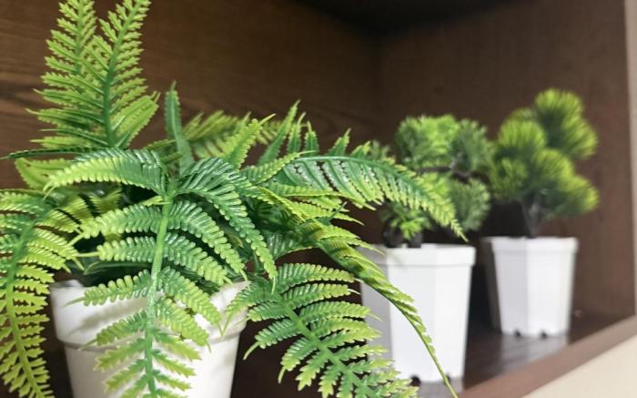 D Savoy @  A Famosa by Leeya