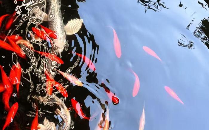 Meet Yourself Village Lodge-上饶古窑民居