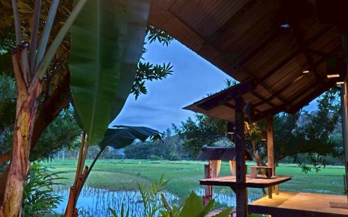 ฮังนกฮูกบ้านนา